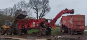 Sugar beet conveyor